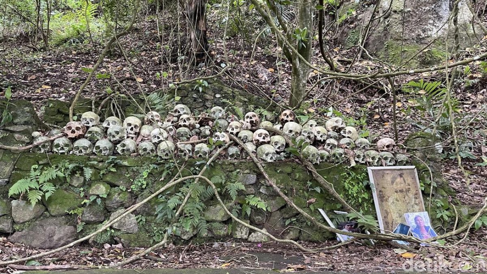Skulls displayed in the site