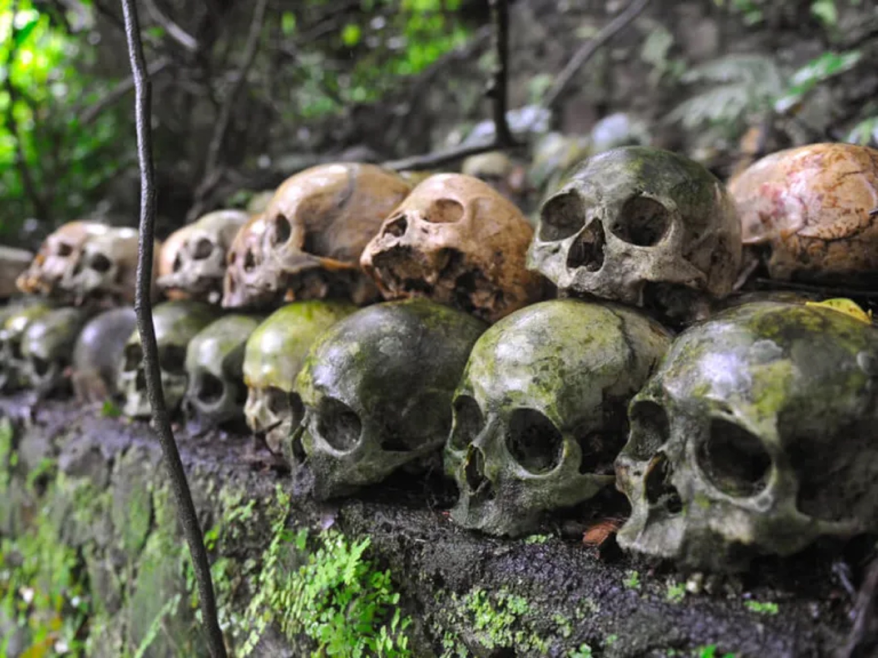 Kuburan Terunyan: Bali's Open-Air Graveyard