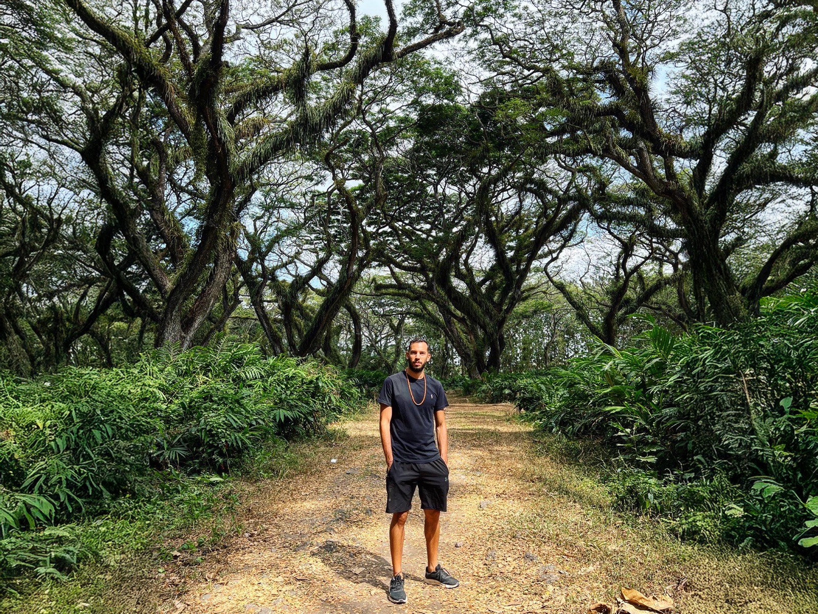 De Djawatan Forest