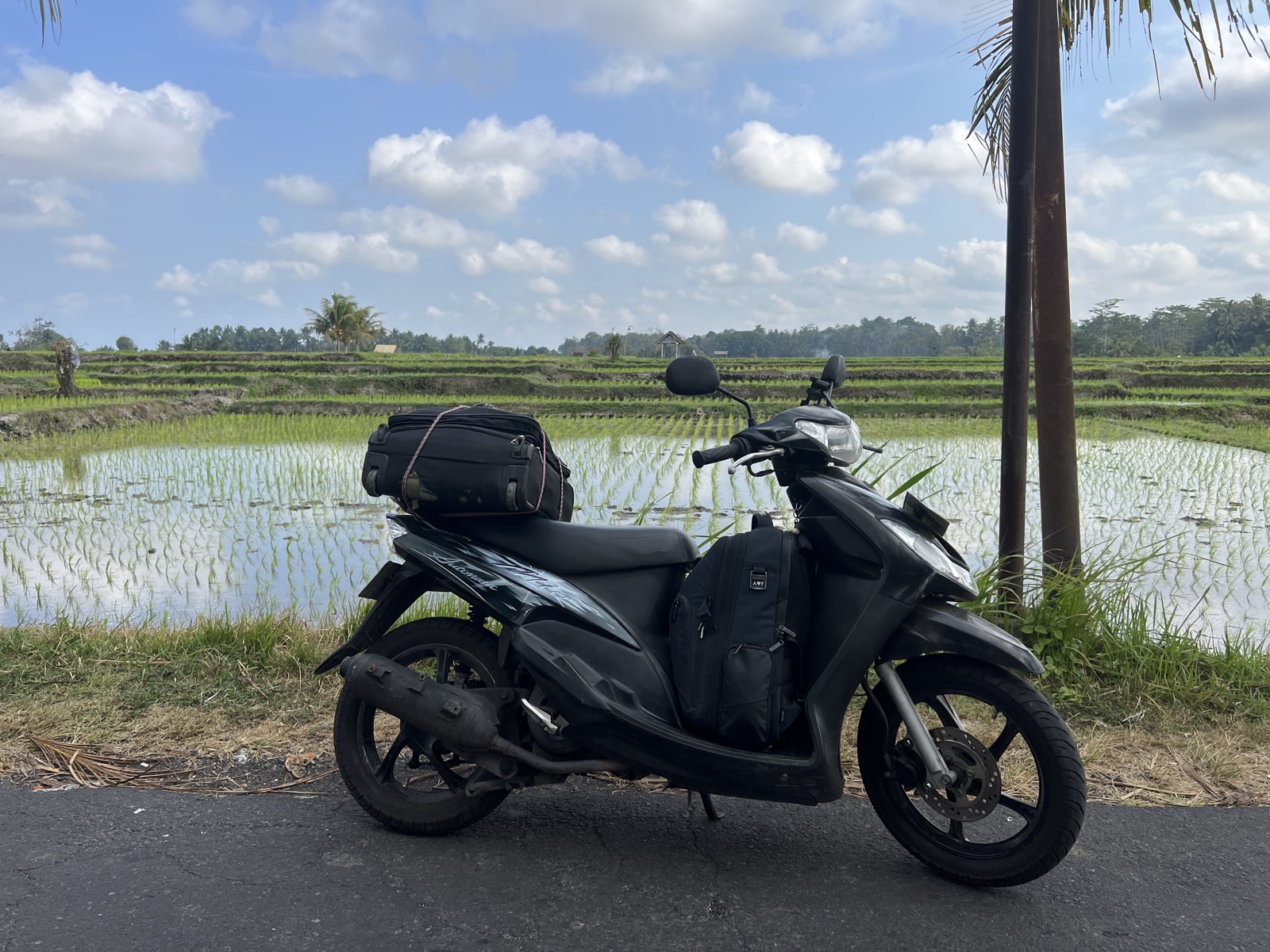 Ready to leave Bali for a new adventure