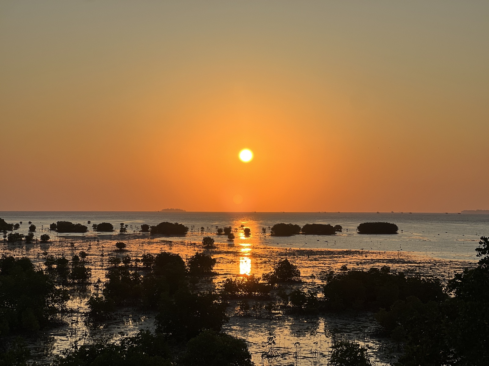Sunset at the Mangrove Area Tourism