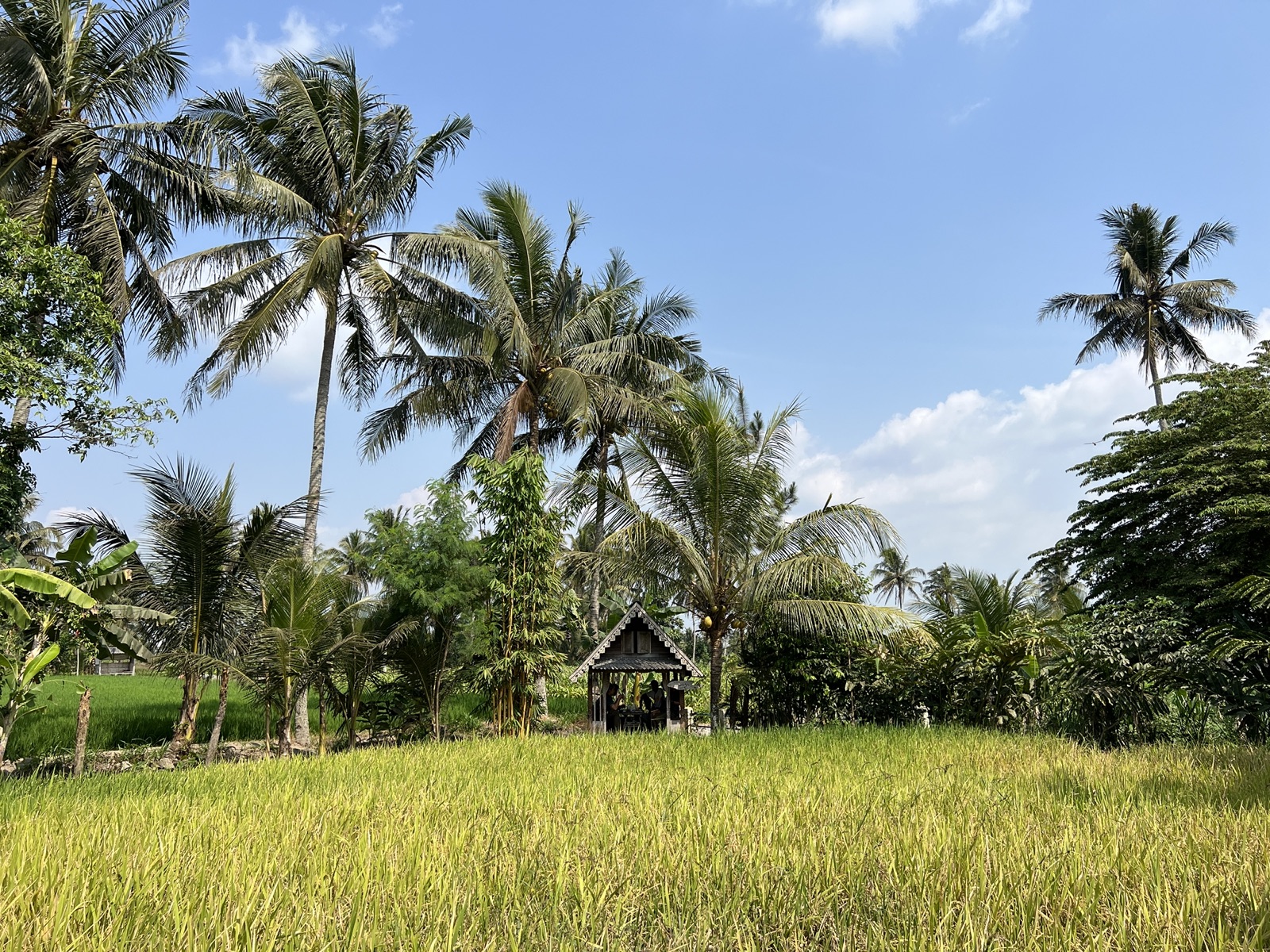 The surrounding area of Yogyakarta