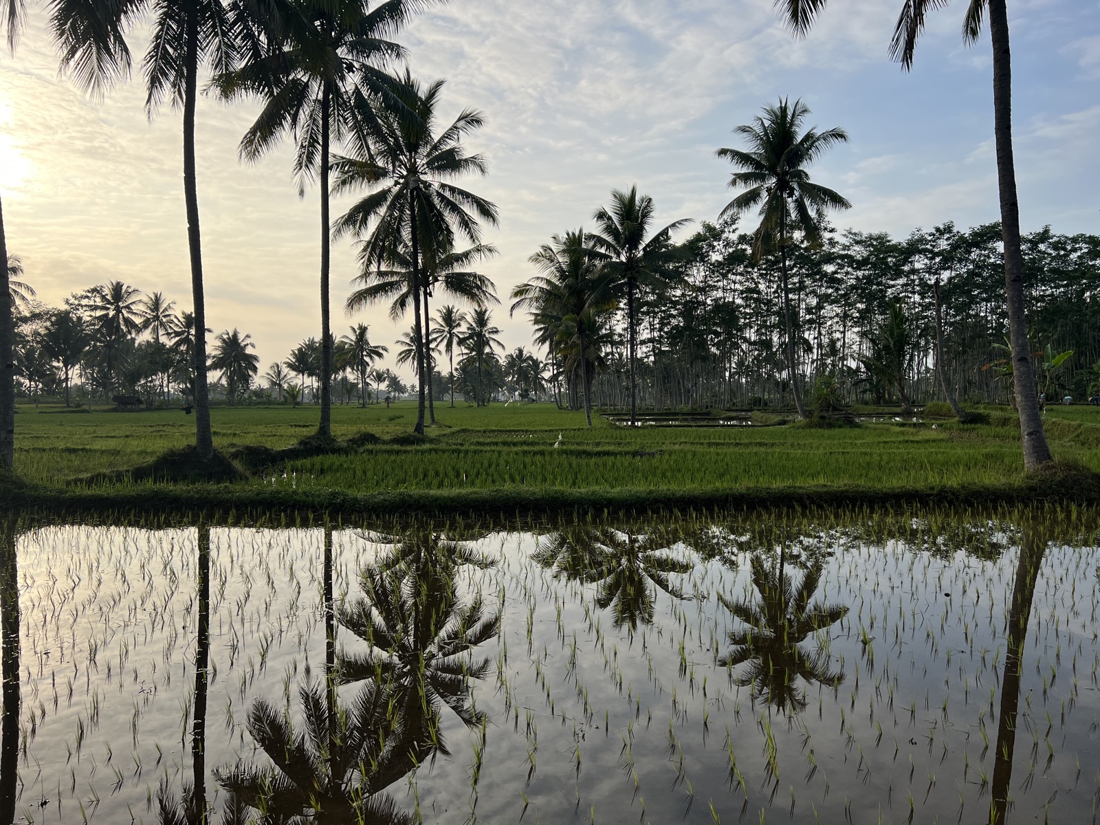 Views on the way to Lumajang