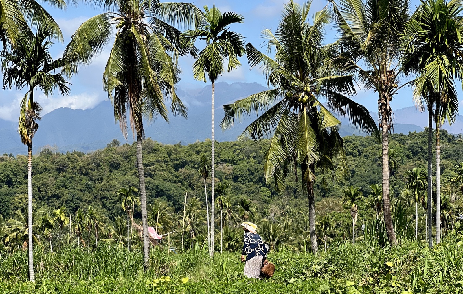 Senaru village