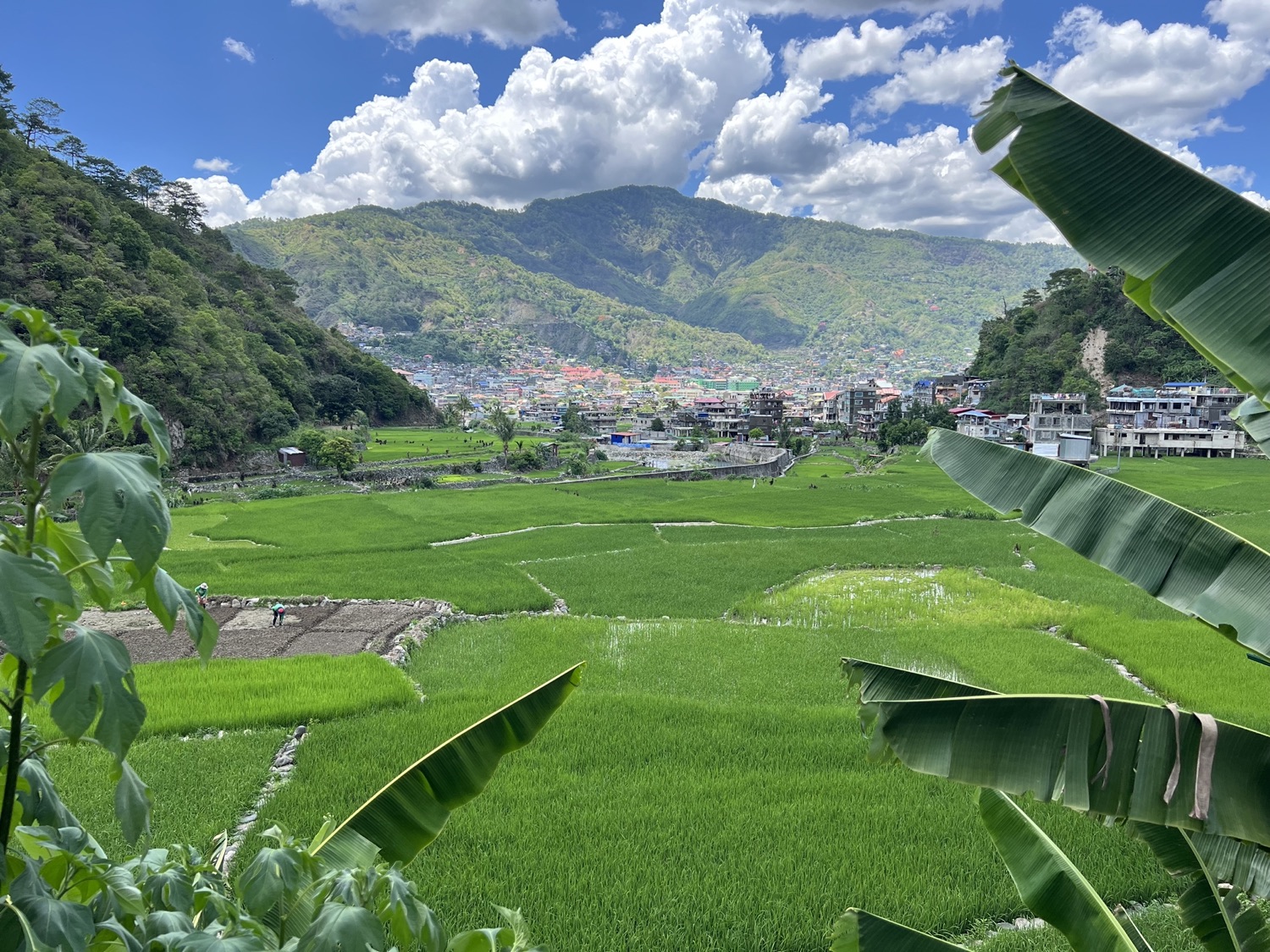 Batad rice terraces, Ifugao