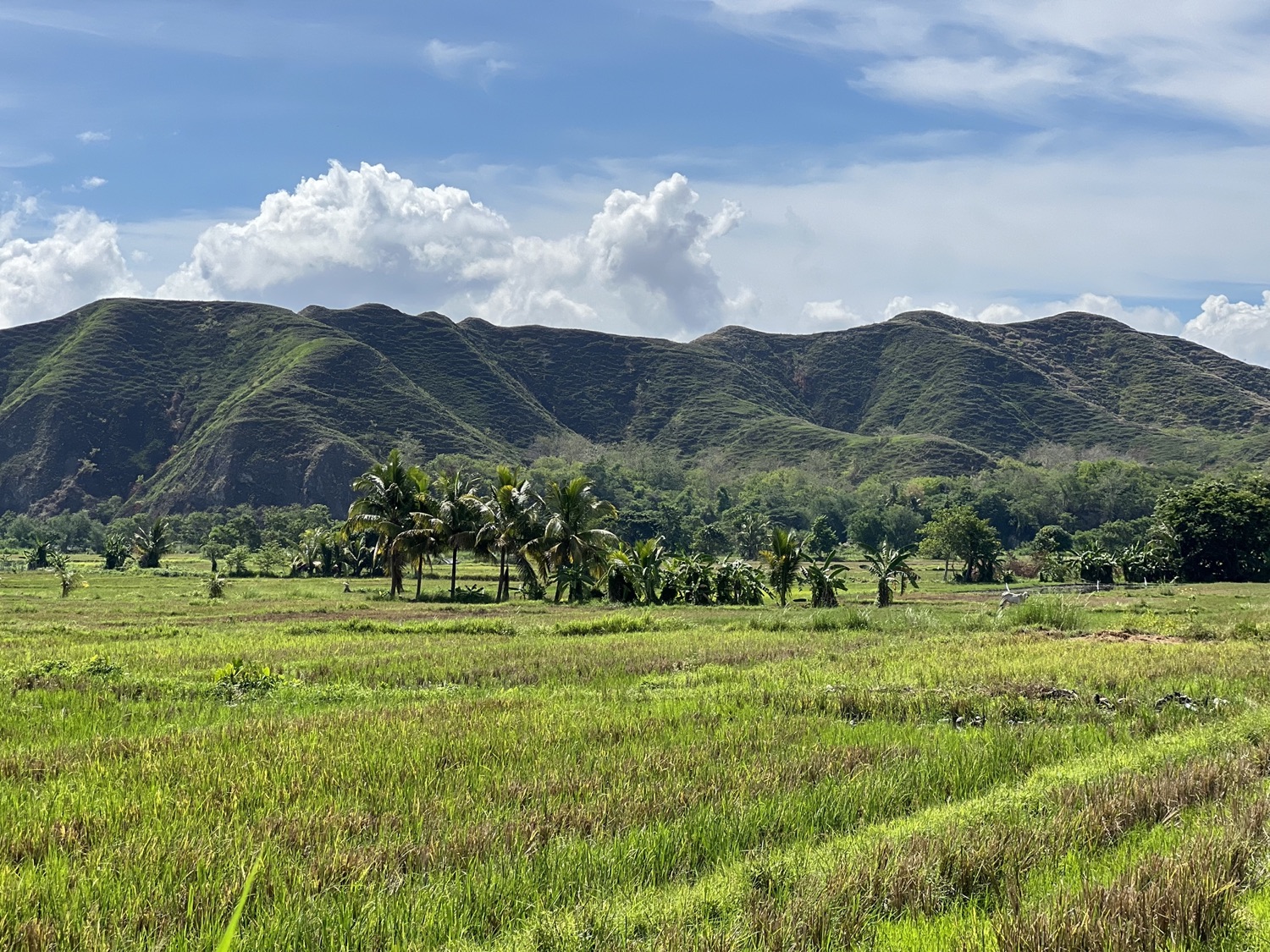 Motorbike at the end of the Luzon Loop