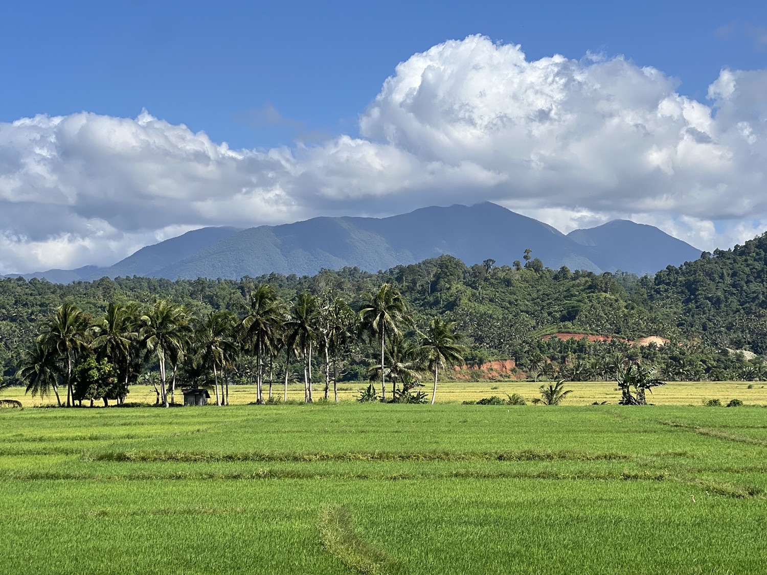 Baler, Philippines