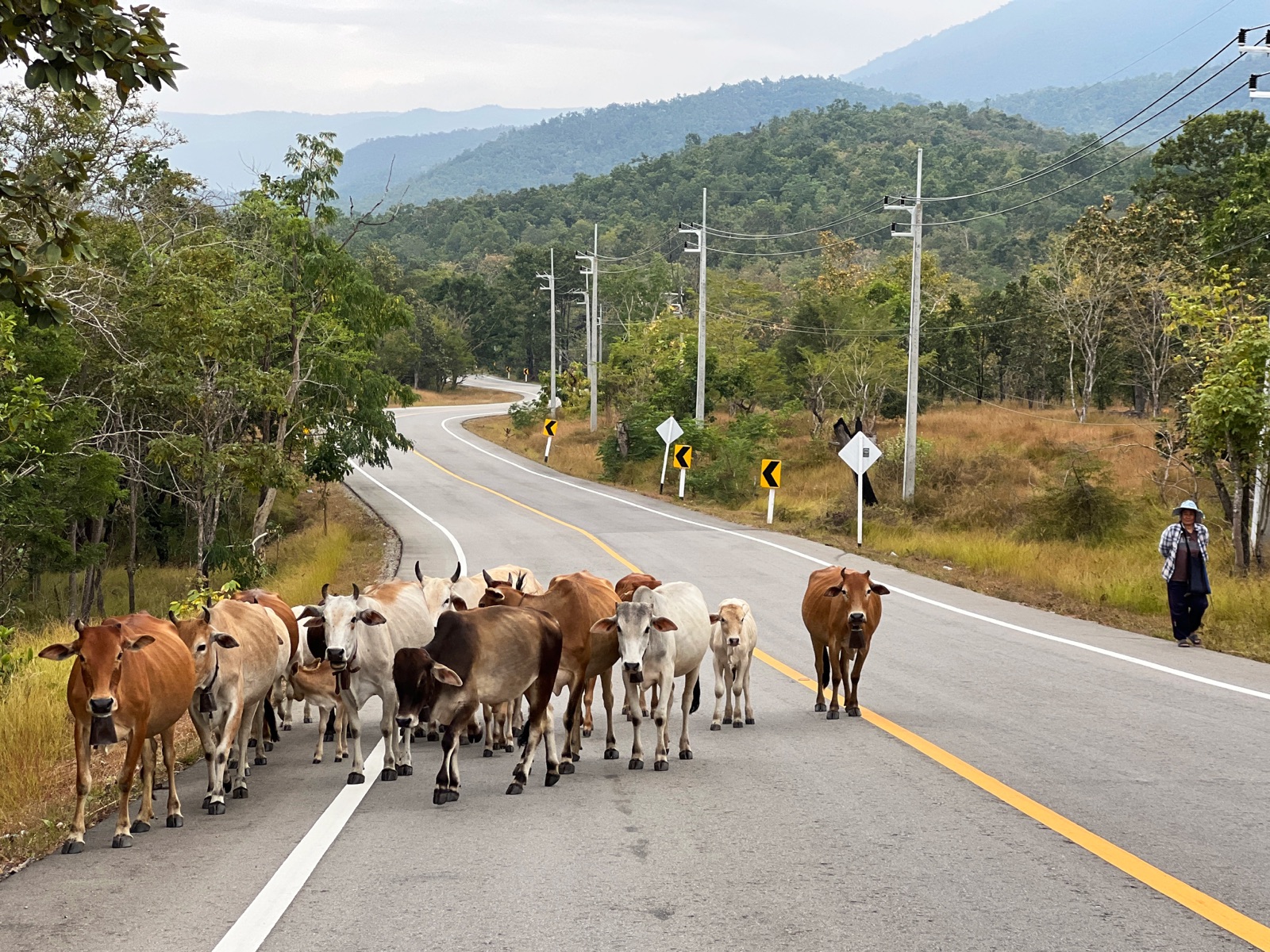 Traffic on the way to Mae Sariang