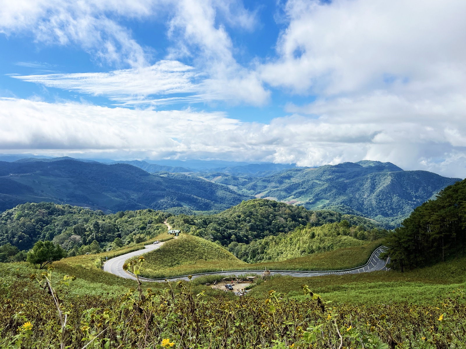 Thung Bua Tong Fields at Doi Mae U Kho