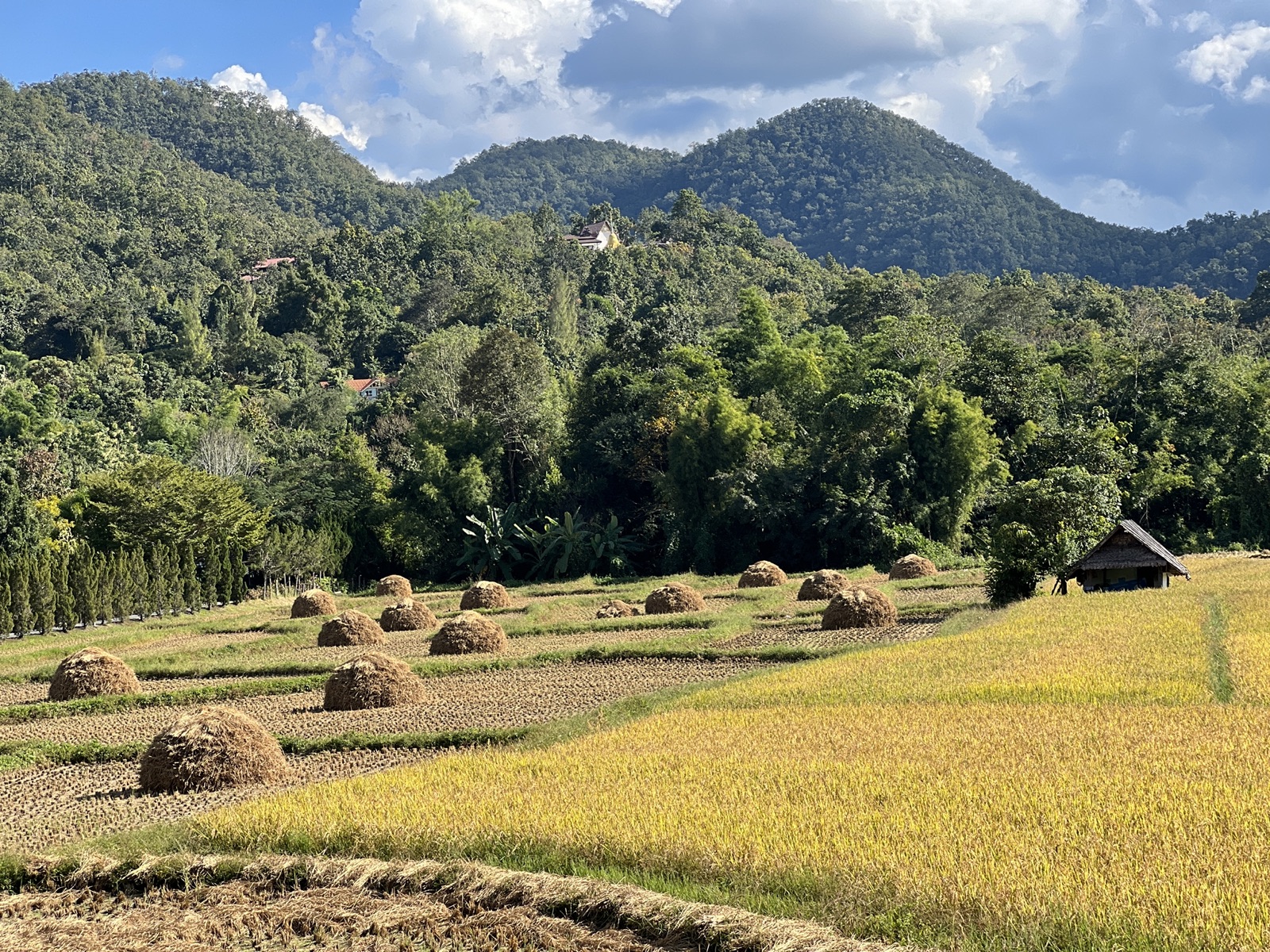 Landscapes around Pai
