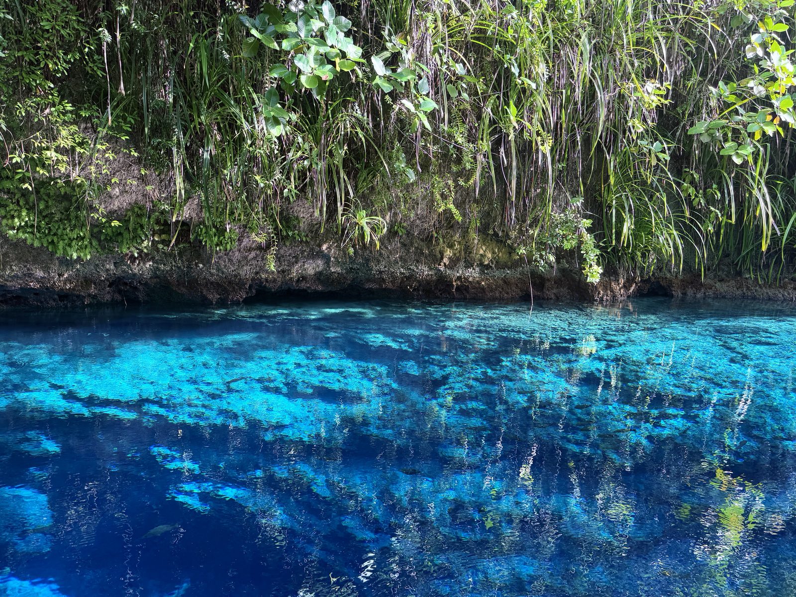 Enchanted River