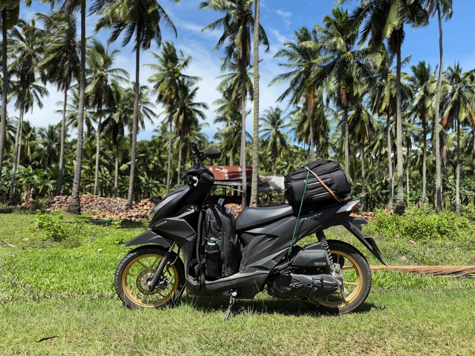 Views on the Way to Baganga