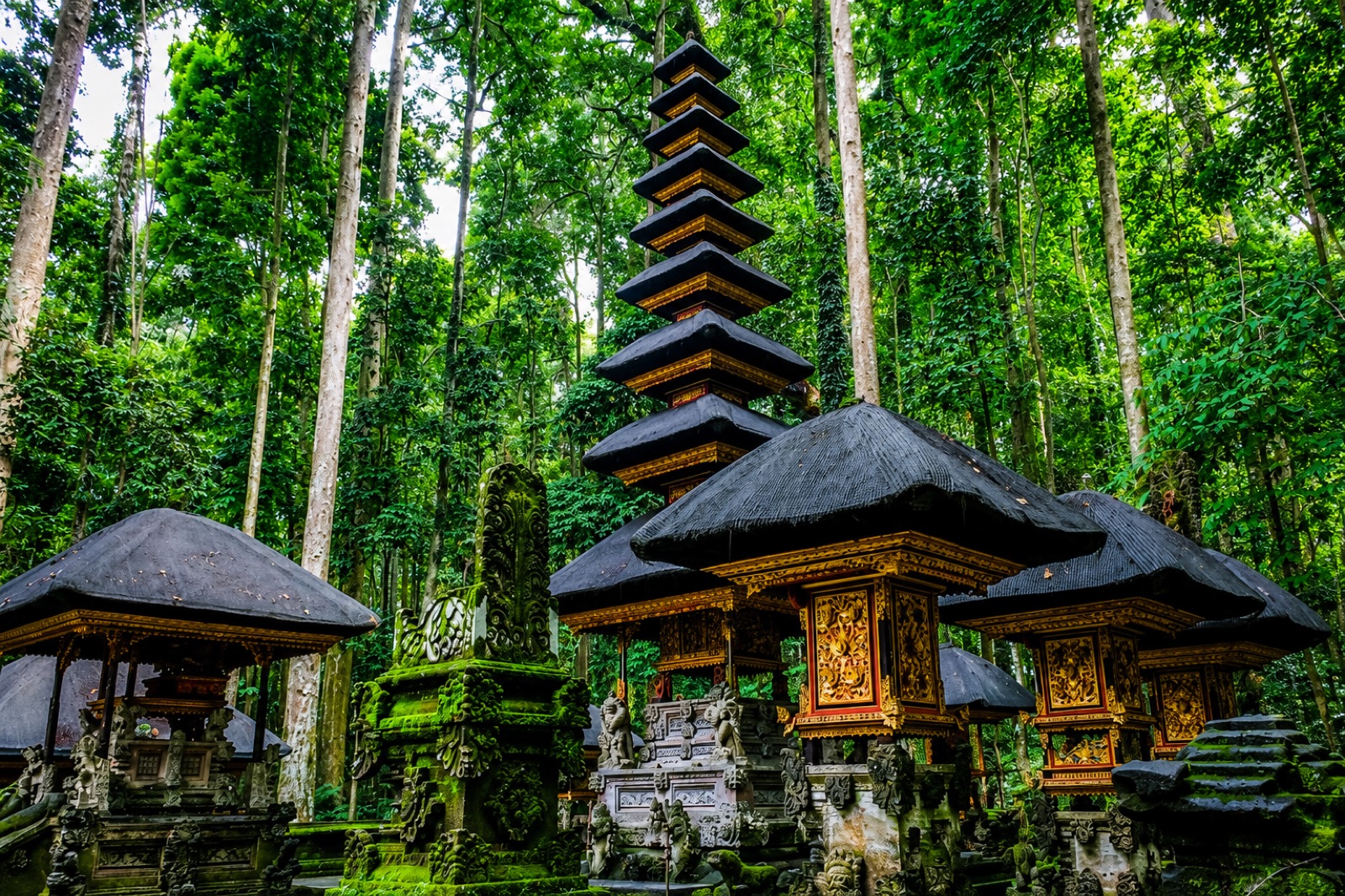 Sangeh Monkey Forest