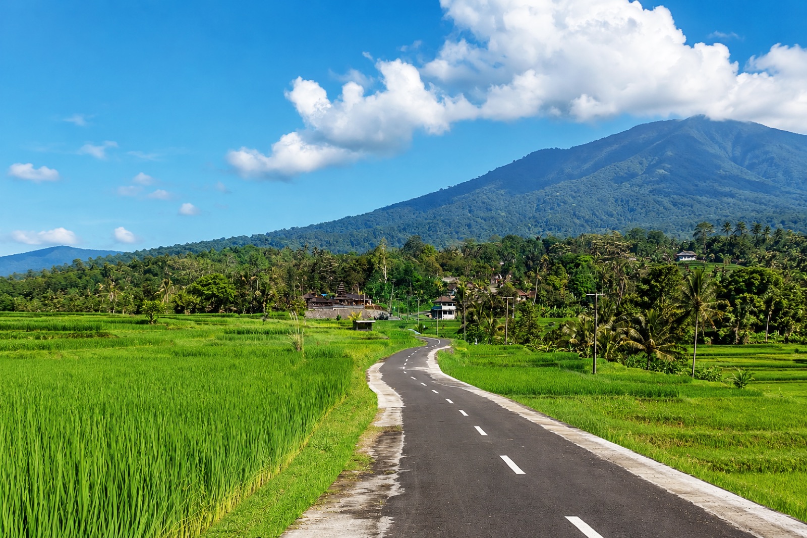Subak Piak Road