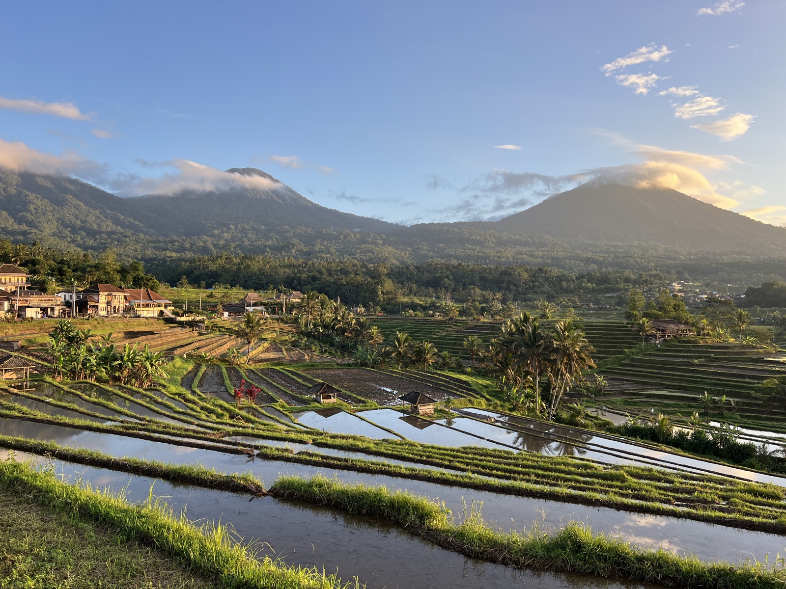 Jatiluwih Rice Terraces