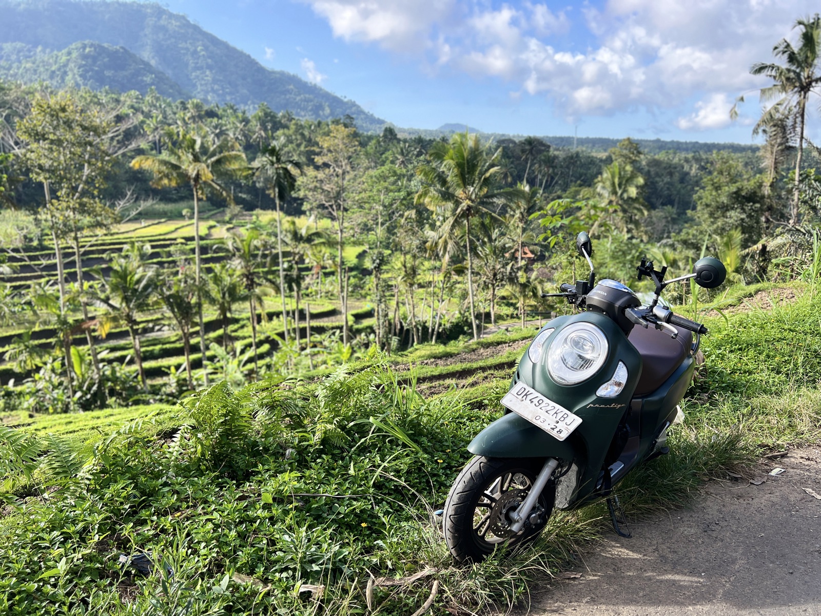 Sibetan Rice Terraces