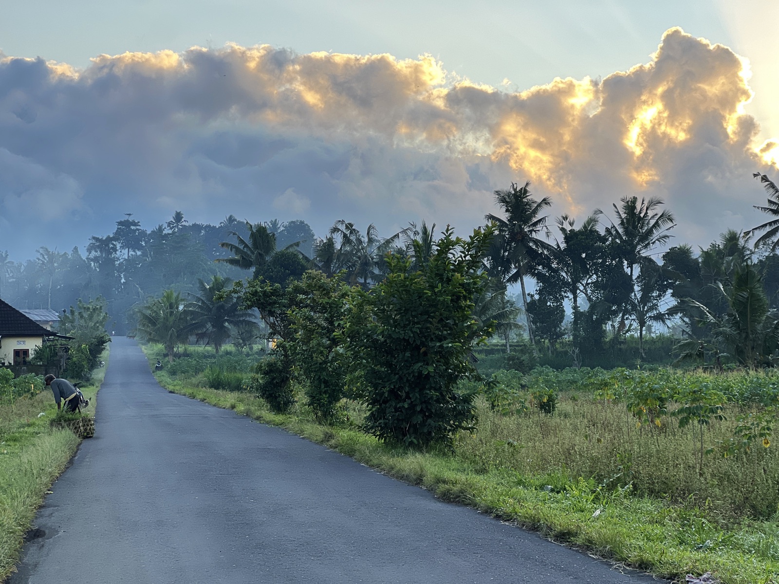 On the Way to Kintamani