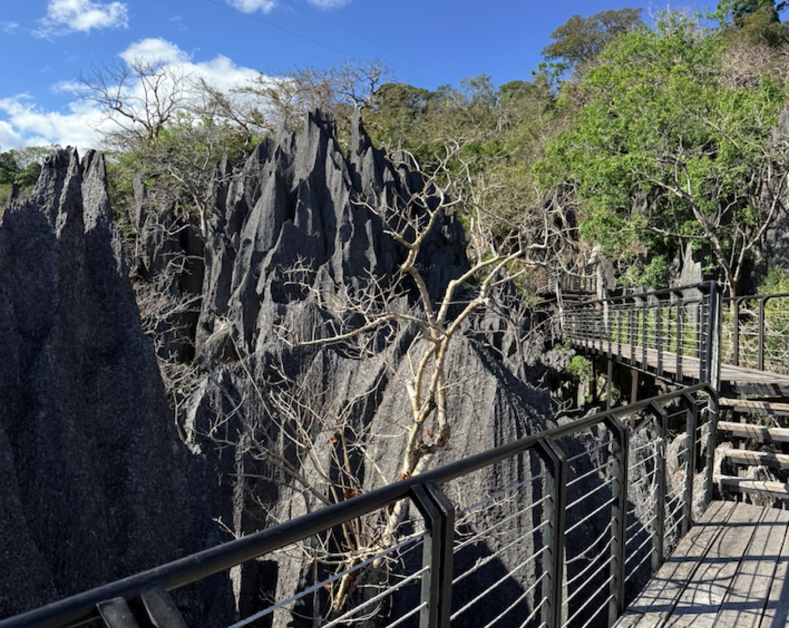 The Rock ViewPoint